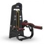 Maquina femoral tumbado Mod- AC-C028